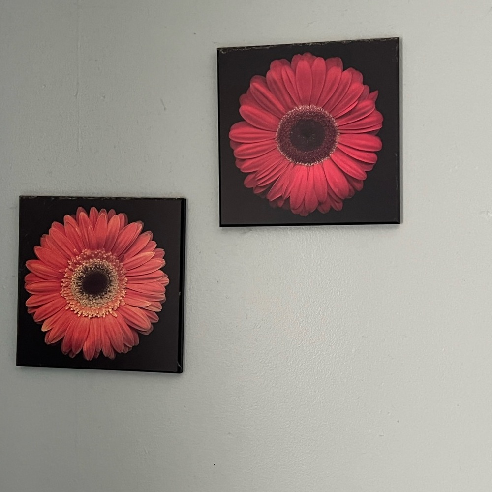Floral Gerbera Daisy Wall Art Set - 4 Pieces